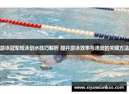 游泳冠军蛙泳划水技巧解析 提升游泳效率与速度的关键方法