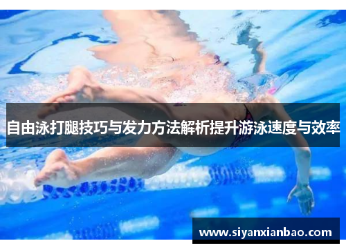 自由泳打腿技巧与发力方法解析提升游泳速度与效率