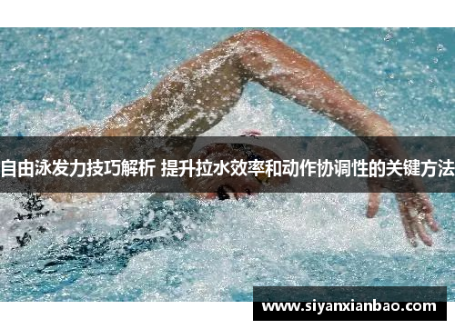 自由泳发力技巧解析 提升拉水效率和动作协调性的关键方法