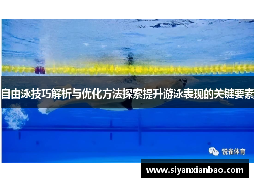 自由泳技巧解析与优化方法探索提升游泳表现的关键要素