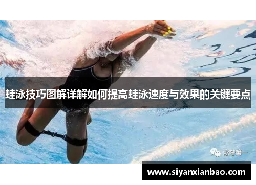 蛙泳技巧图解详解如何提高蛙泳速度与效果的关键要点