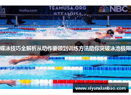 蝶泳技巧全解析从动作要领到训练方法助你突破泳池极限